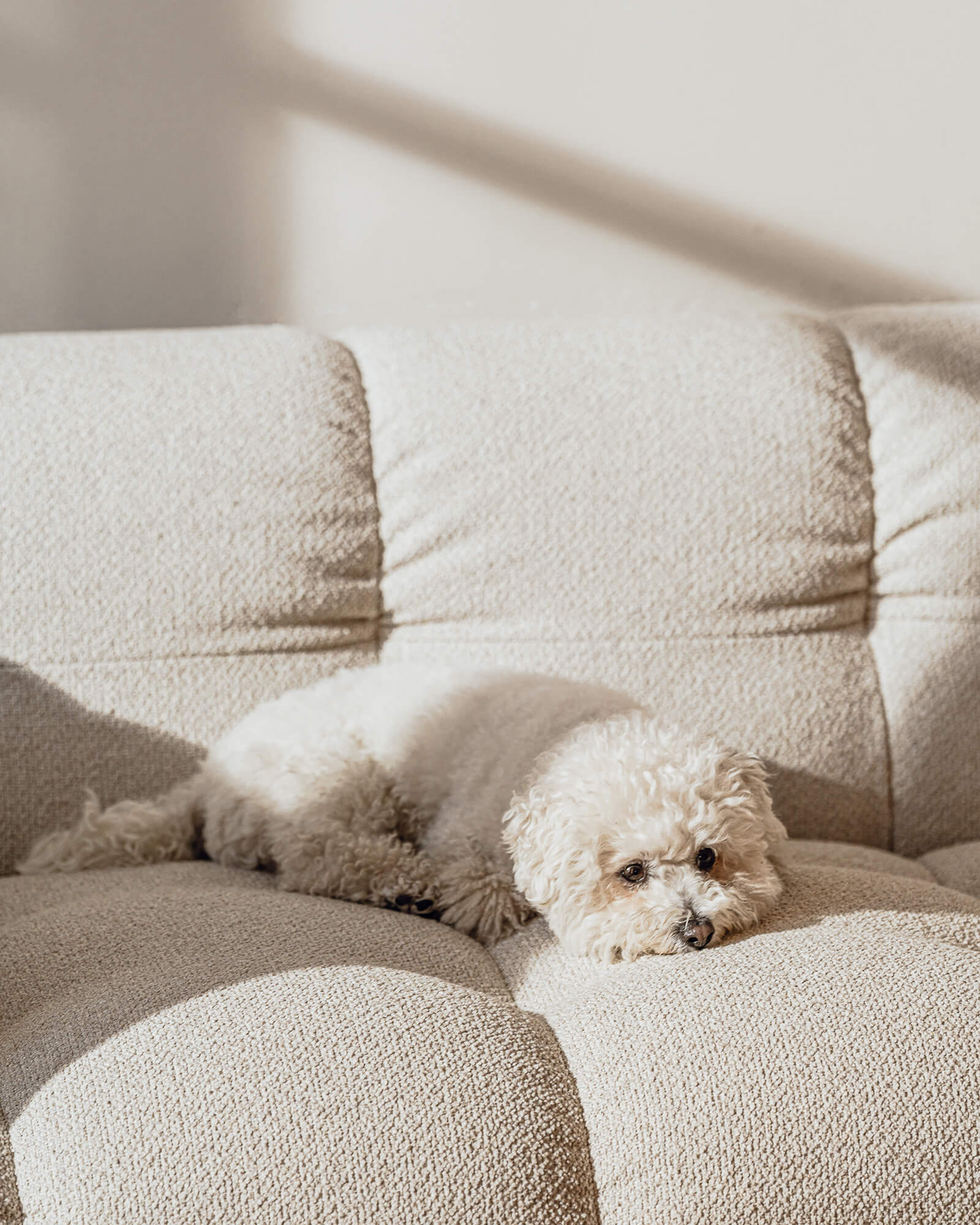 Bolbi Sofa 2-seater - Image 10