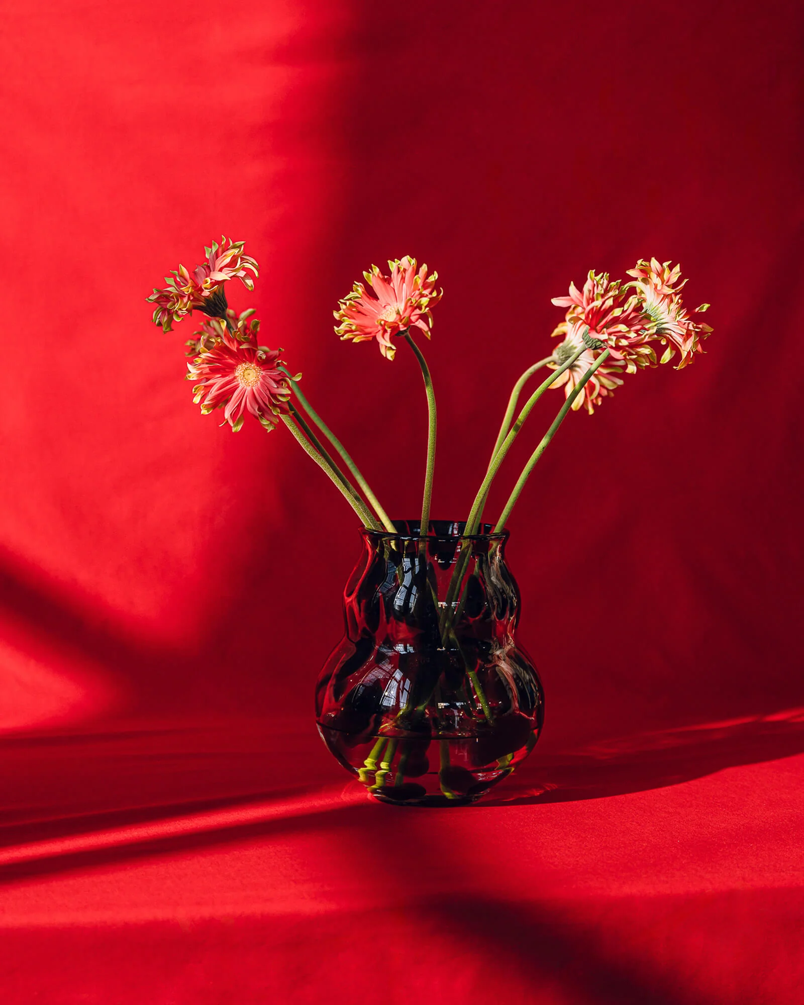 Dam Vase - Image 5