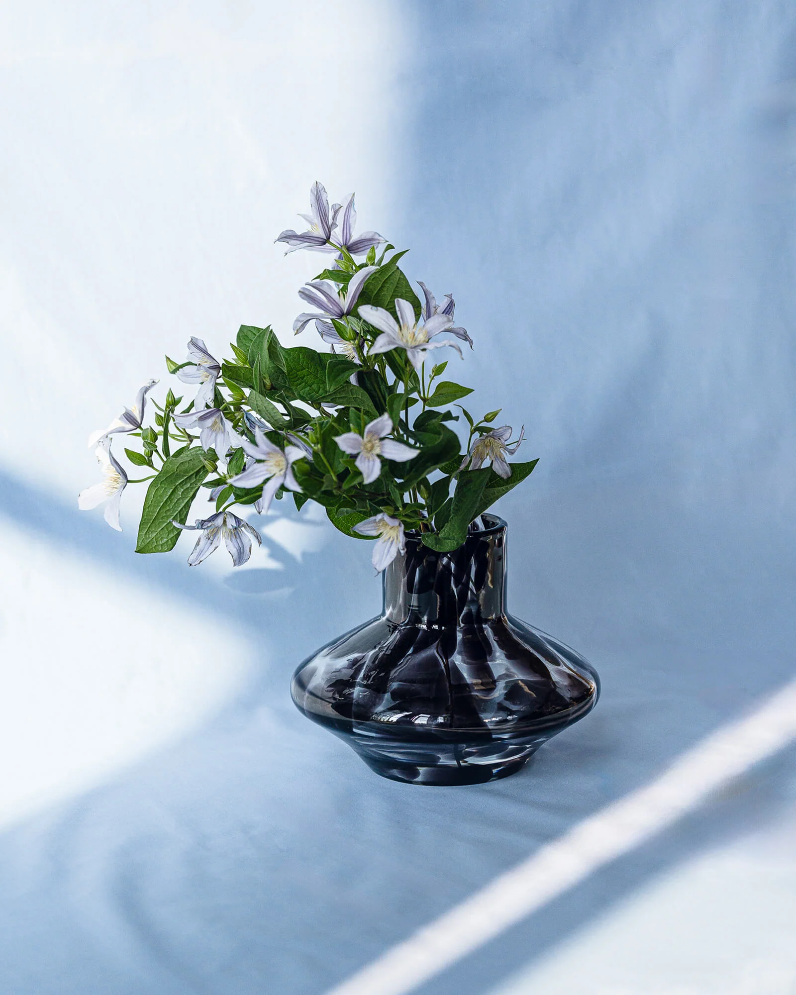 Dam Vase - Image 6