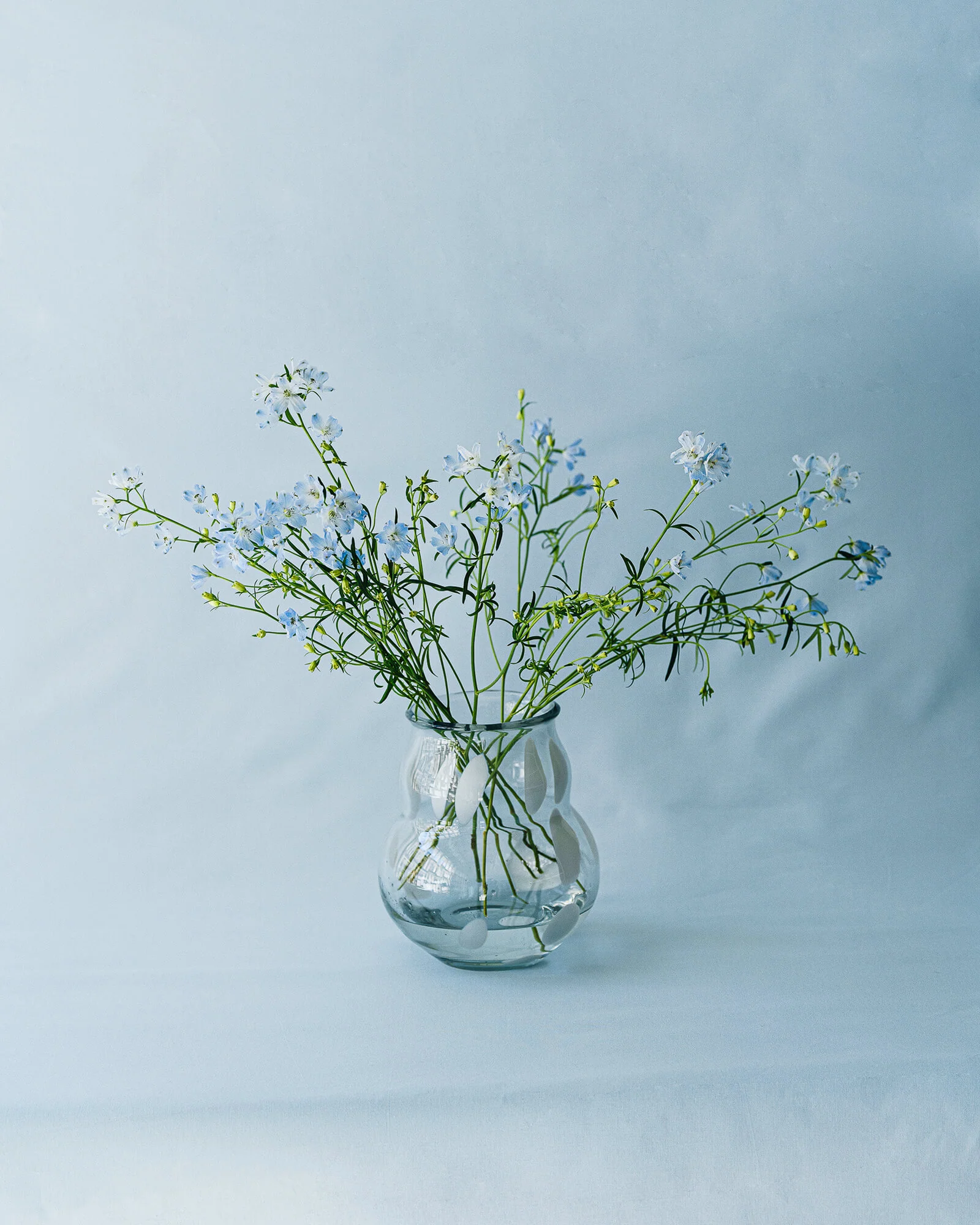 Dam Vase - Image 8