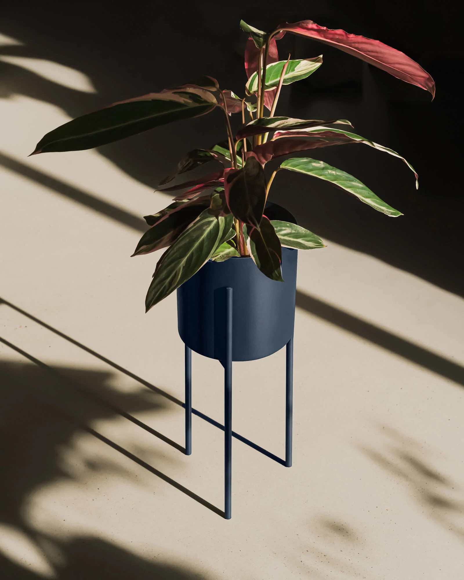 Maki Plant Pot - tall - Image 4