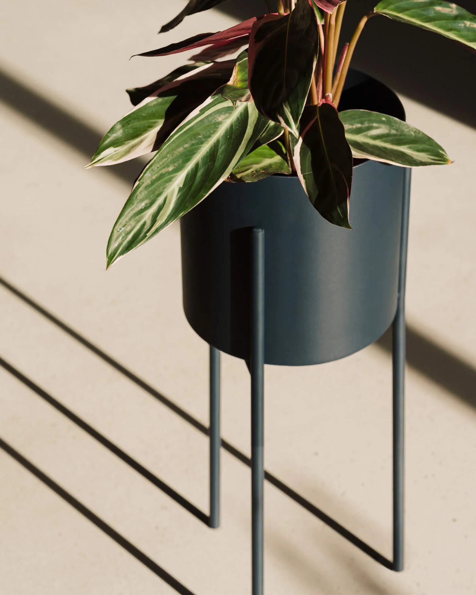 Maki Plant Pot - tall - Image 4