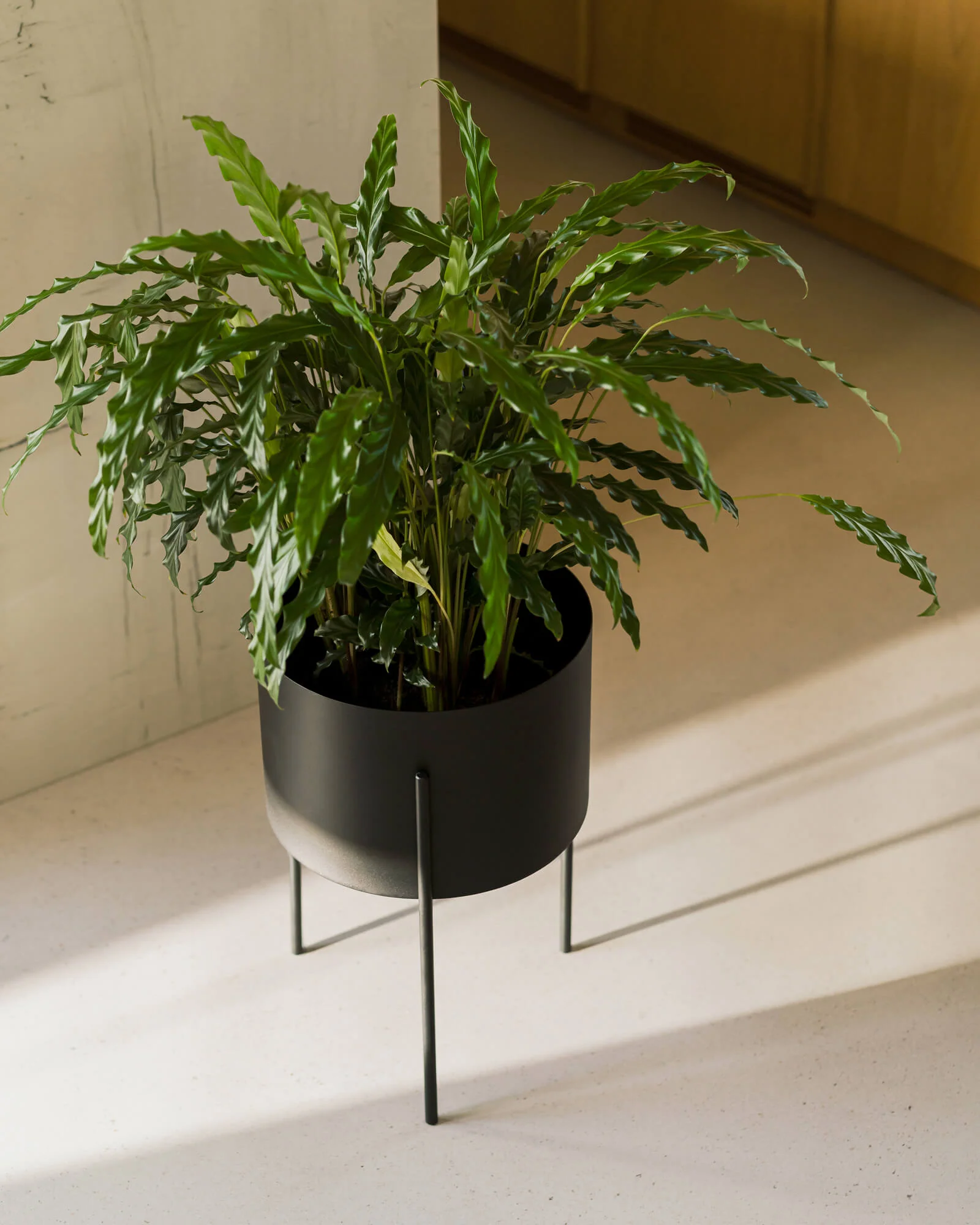Maki Plant Pot - tall - Image 5