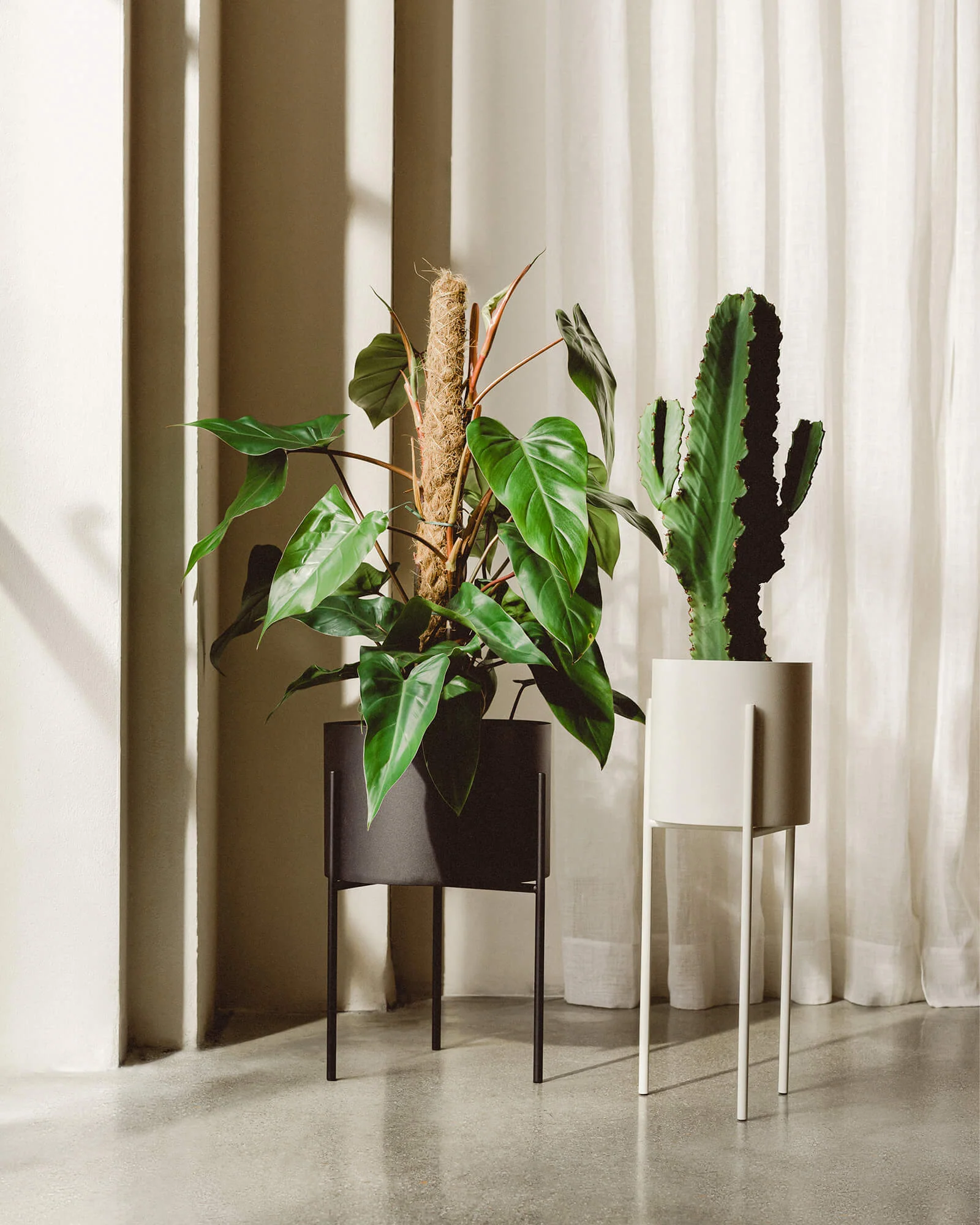 Maki Plant Pot - tall - Image 6
