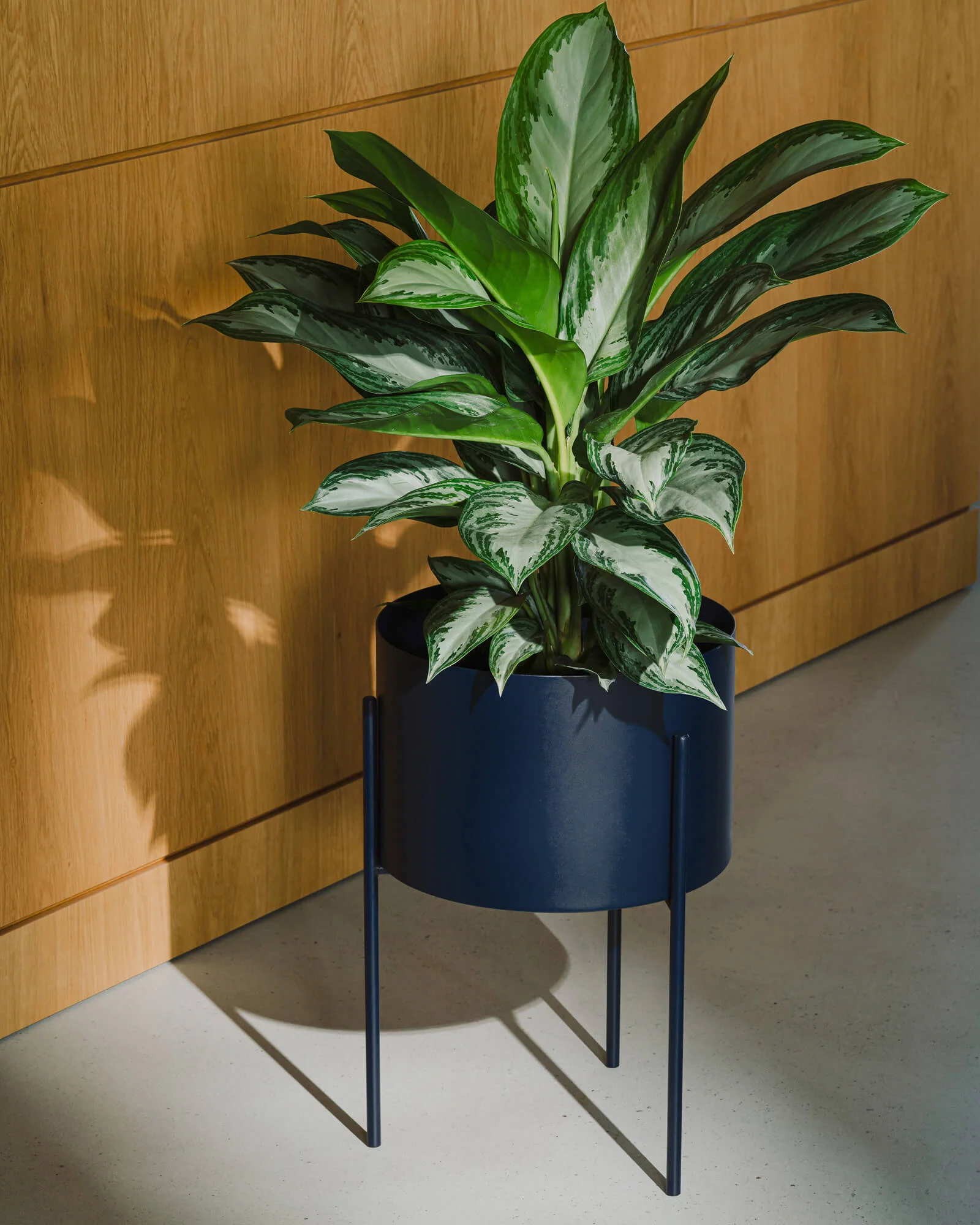 Maki Plant Pot - tall - Image 7