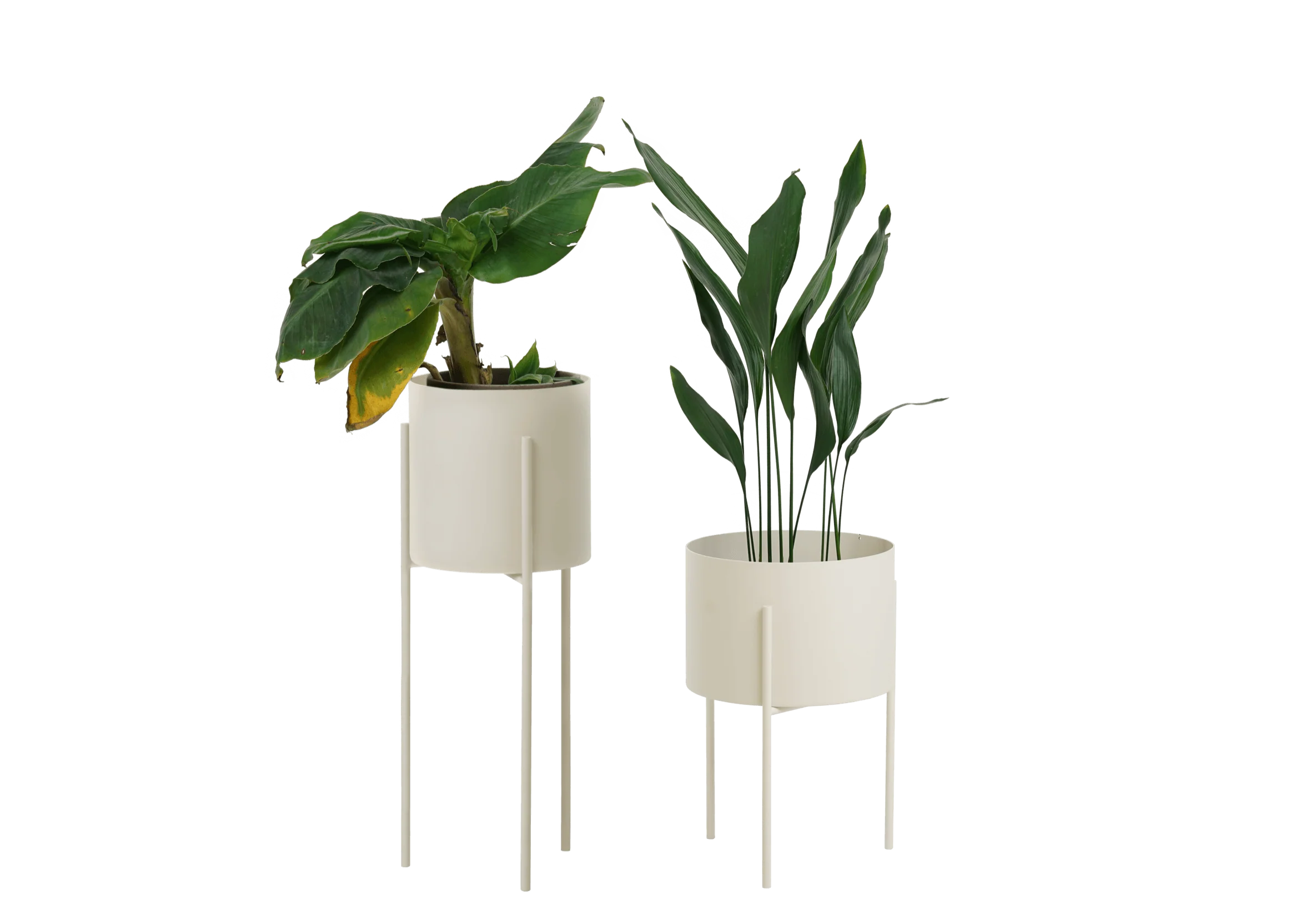 Maki Wide & Tall Bundle - Image 10