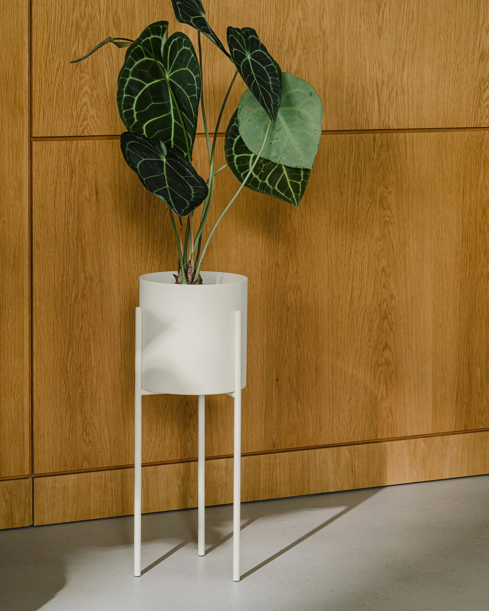 Maki Wide & Tall Bundle - Image 11