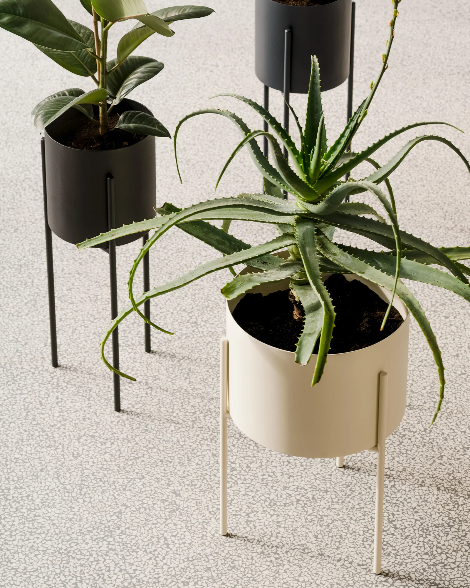 Maki Wide & Tall Bundle - Image 13