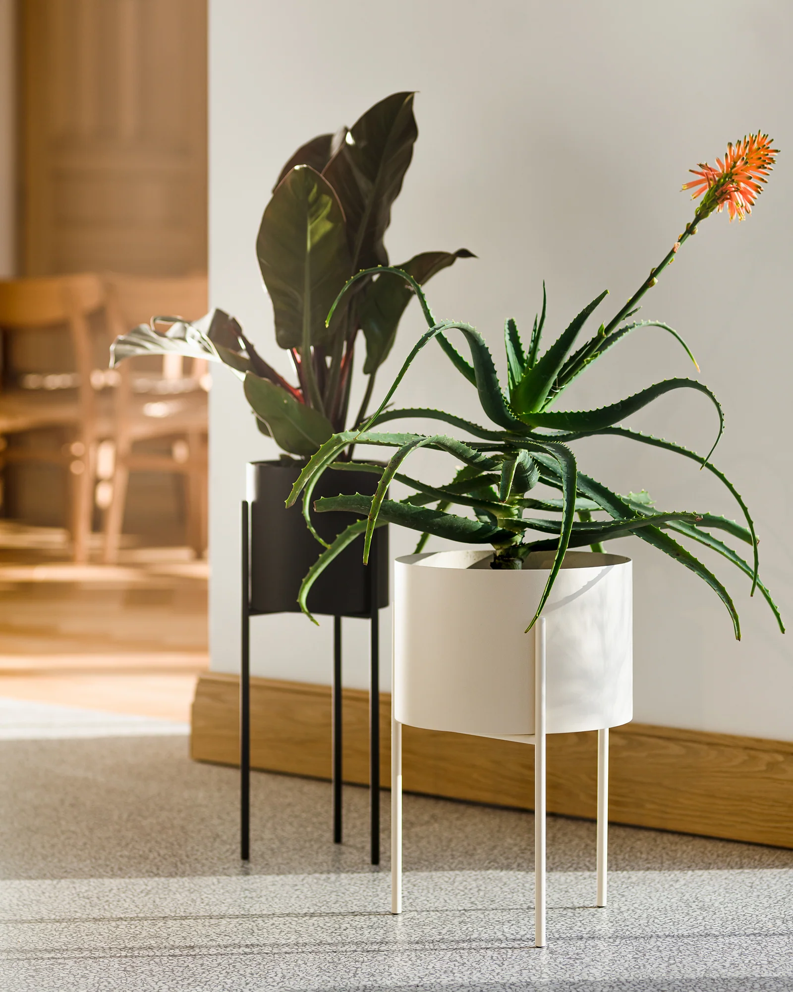 Maki Wide & Tall Bundle - Image 14