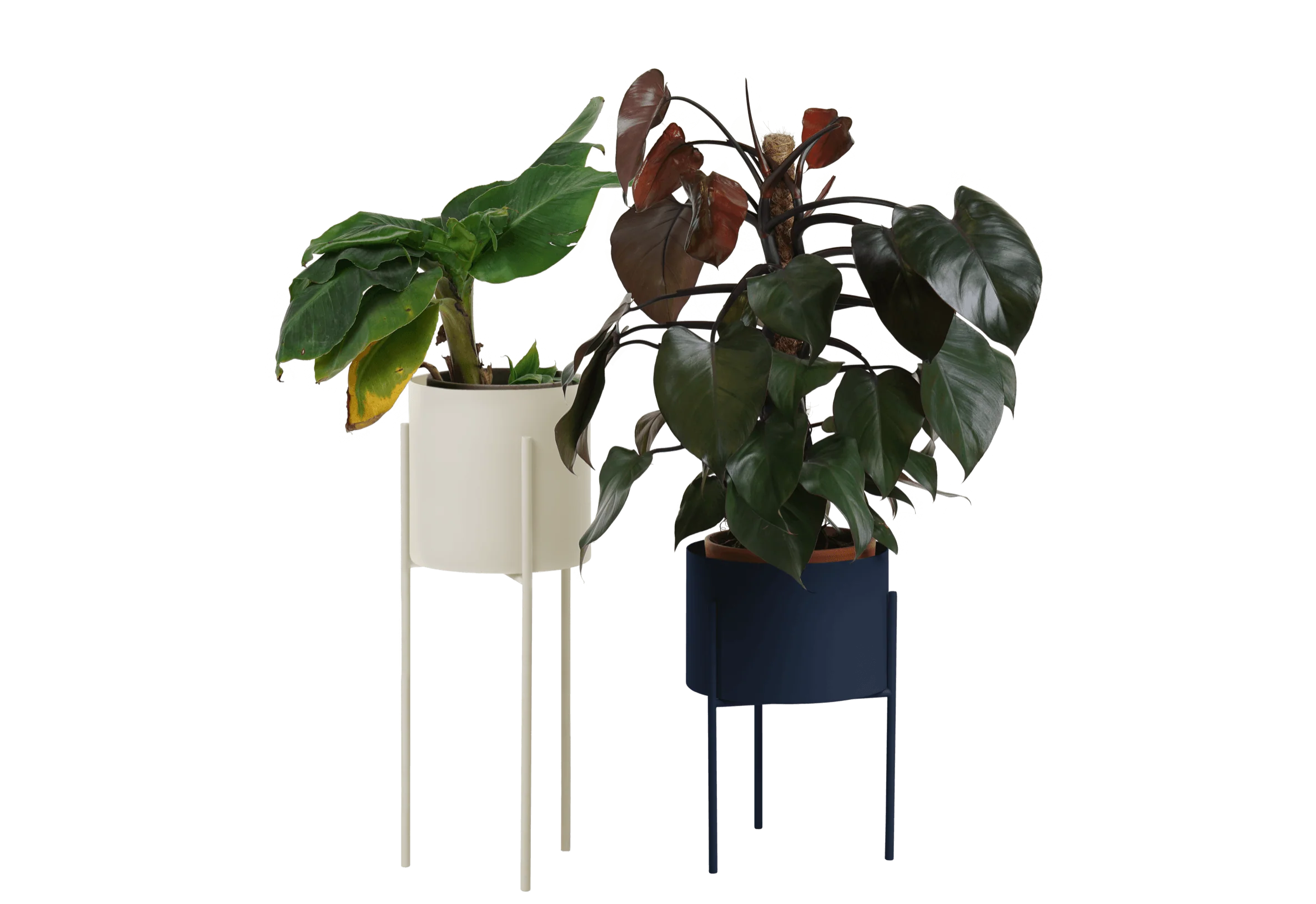 Maki Wide & Tall Bundle - Image 7
